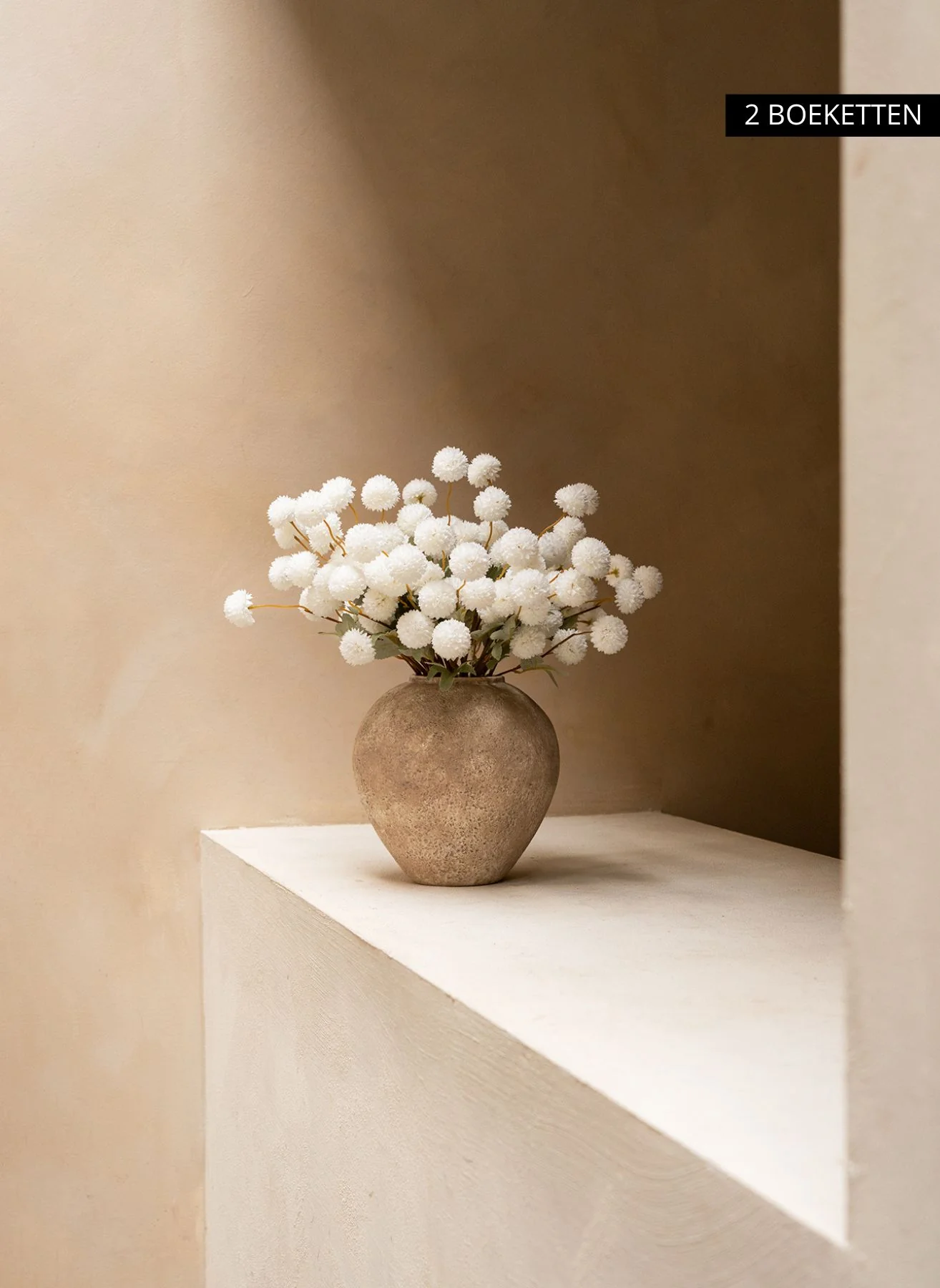 Miniatuur 2