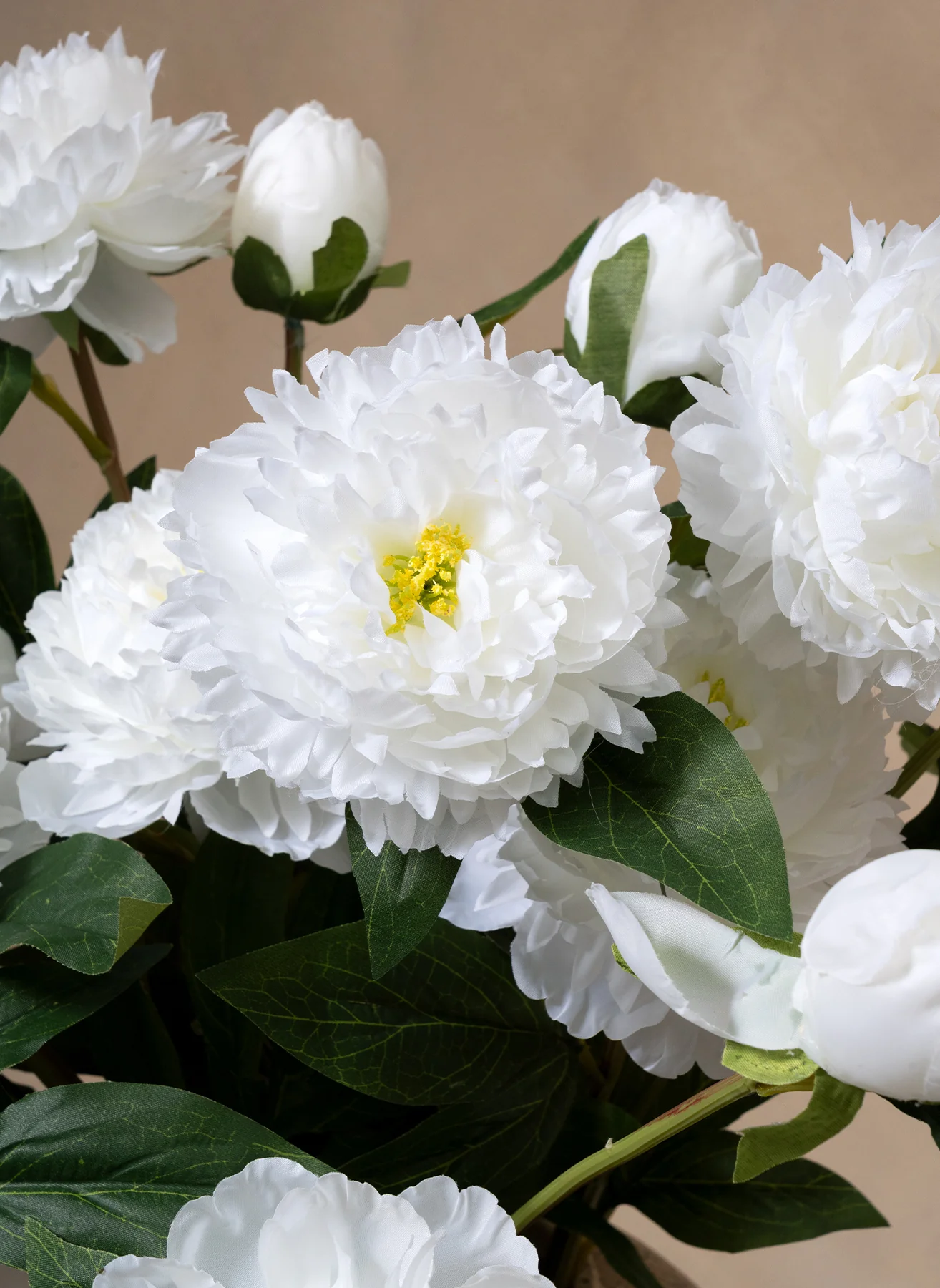 Miniatuur 2